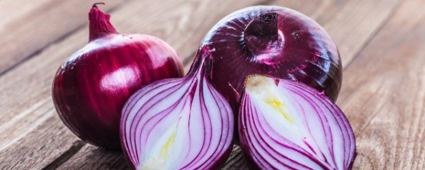 洋葱冬天怎么浇水