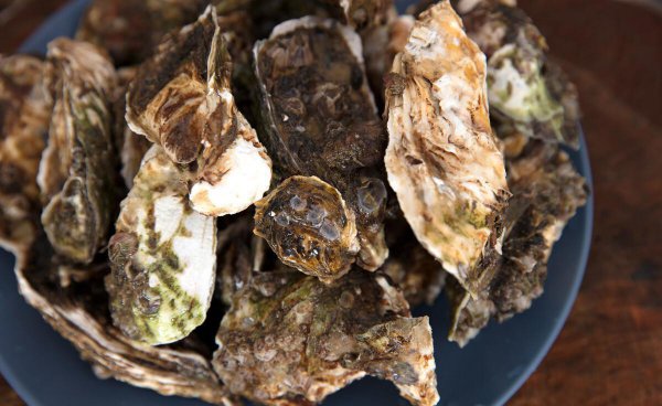 生蚝可以带壳放冰箱冷冻吗