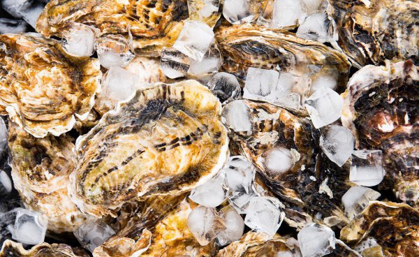 生蚝可以带壳放冰箱冷冻吗