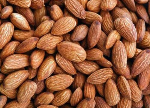 大杏仁和巴旦木的区别图解
