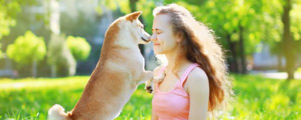 狗狗兔肉吃多了会怎样