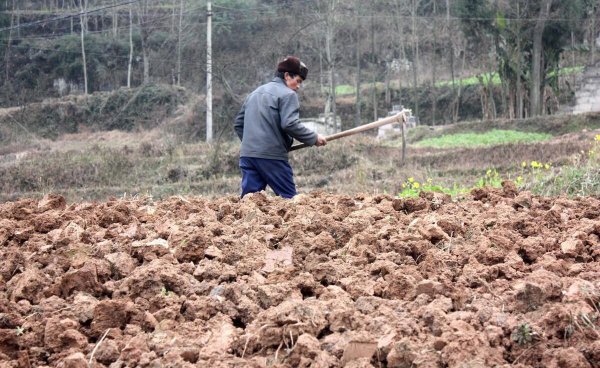 耕地红线是什么意思