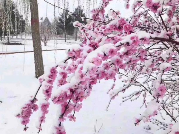 今年小本生意做什么好