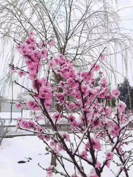 今年小本生意做什么好