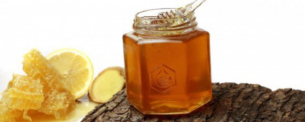 土蜂蜜是凉性还是热性