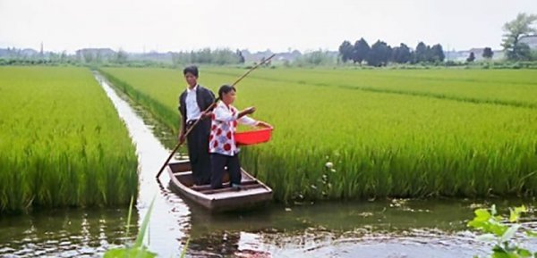 小龙虾的由来历史及发展过程