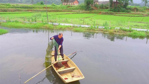 小龙虾的由来历史及发展过程