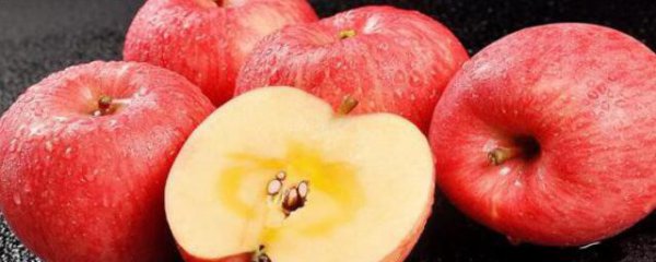 新疆的食物特产有哪些