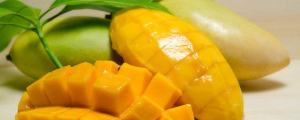 芒果怎么保存才新鲜