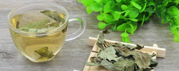 隔夜荷叶茶能喝吗