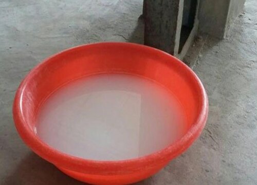 肥皂水浇花有什么好处和坏处