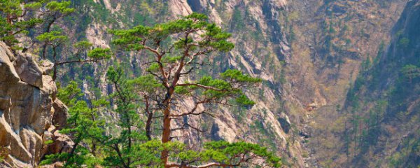 黄山几月份合适去