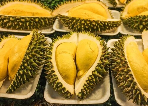 猫山王榴莲是哪里产的