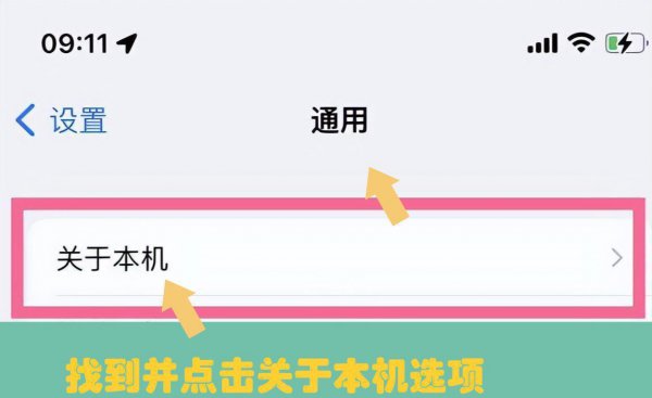 如何查看苹果手机型号