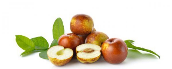 枣花什么时候开花