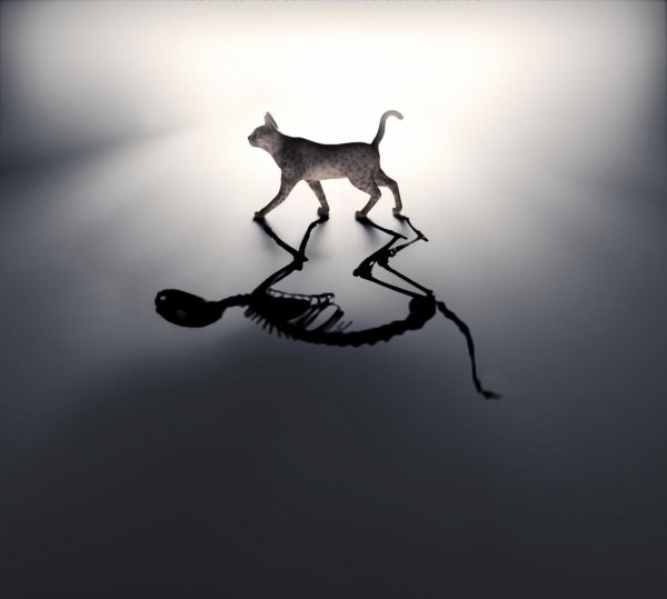 量子力学太可怕了