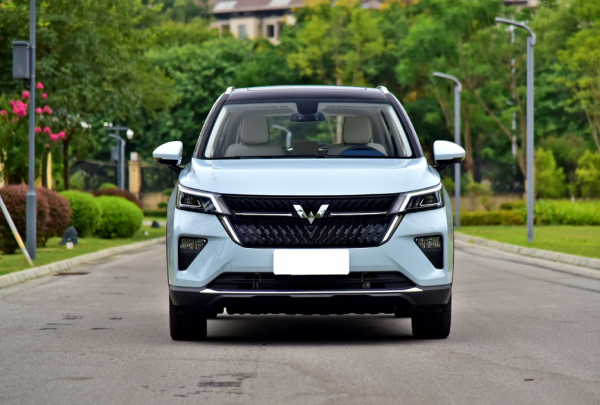 目前最成熟的混动汽车