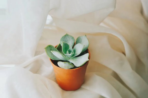 从朋友圈观察女人性格