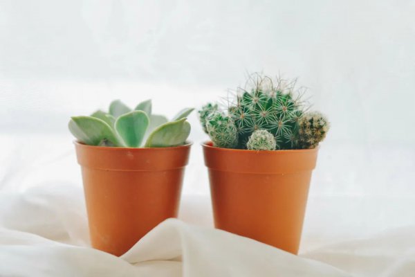 从朋友圈观察女人性格