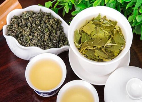 茉莉毛尖属于什么茶