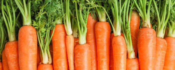 怎么炒胡萝卜片好吃