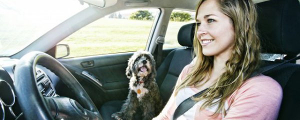 怎样判断是否需要更换雨刷