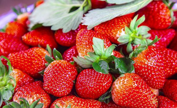 五种吉祥水果有哪些