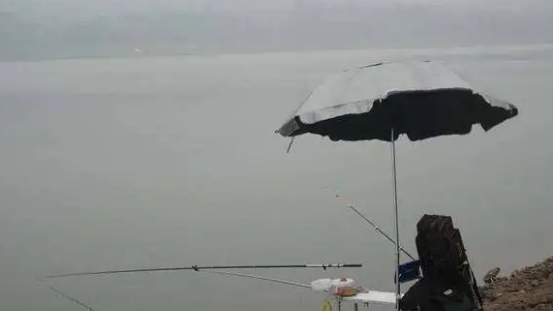 下过雨好钓鱼吗
