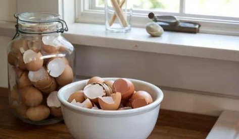 鸡蛋壳是磷肥还是钾肥