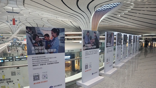 北京大兴机场属于哪个区