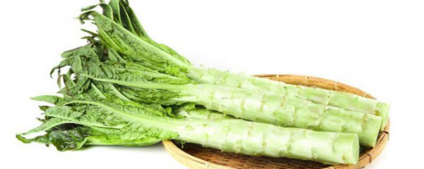 莴笋叶子能生吃吗