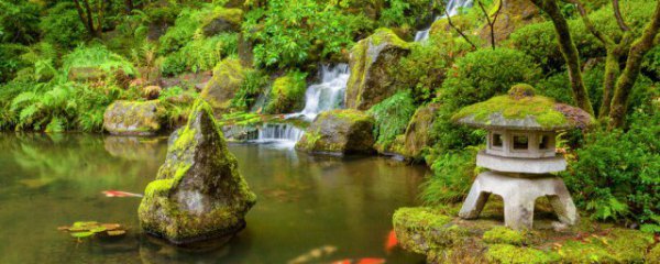 户外鱼池污渍怎么清理干净