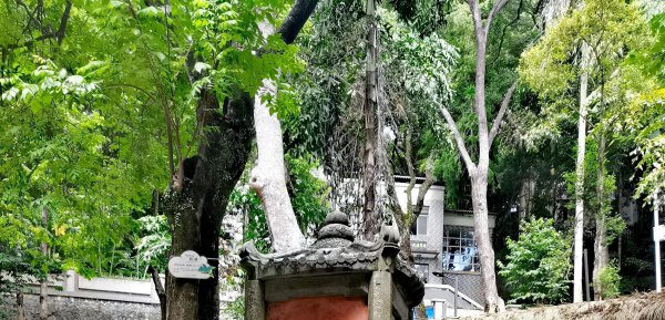 惠州罗浮山在哪里