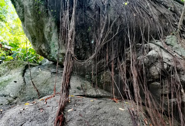 惠州罗浮山在哪里