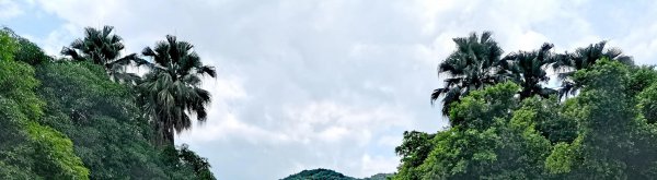 惠州罗浮山在哪里