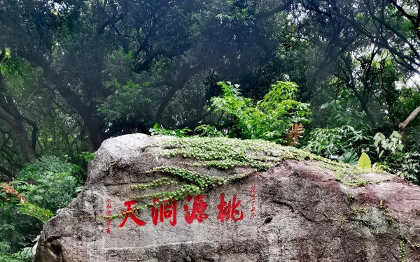 惠州罗浮山在哪里