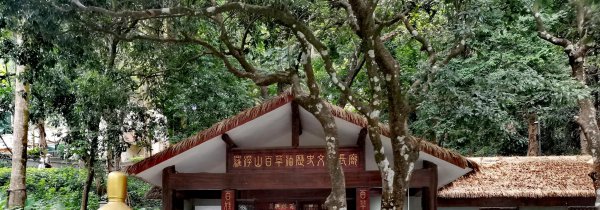 惠州罗浮山在哪里