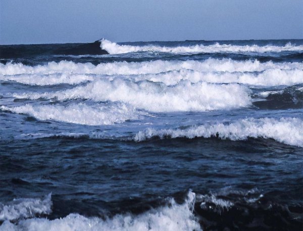 摩羯座怎么挽回