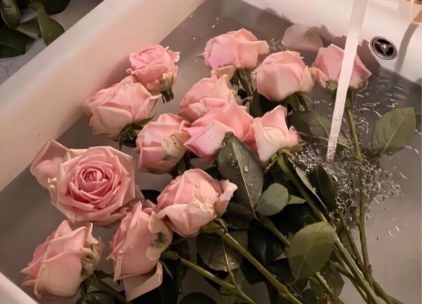 摩羯座怎么挽回