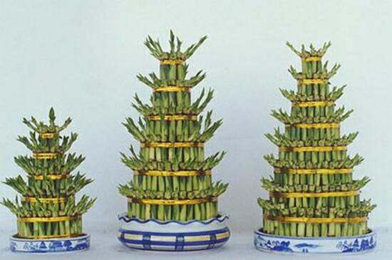 富贵竹千万不要放在卧室