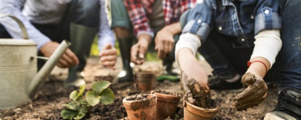 温州室外植物有哪些