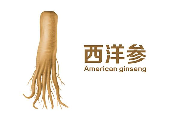 西洋参和黄芪的区别在哪里