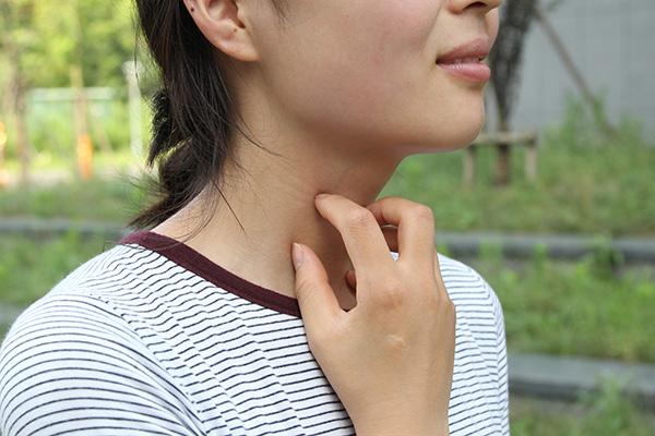 西洋参和黄芪的区别在哪里