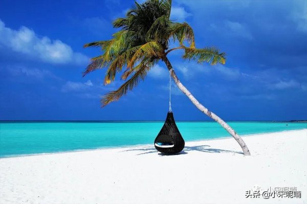 公众号名称怎么取有特色