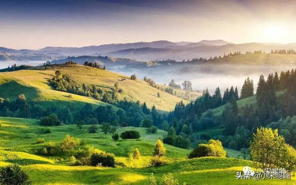 公众号名称怎么取有特色