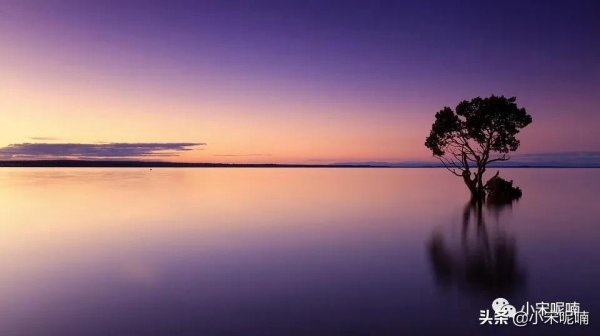 公众号名称怎么取有特色