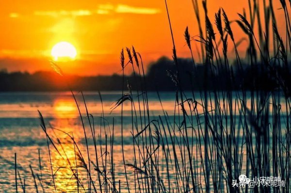 公众号名称怎么取有特色