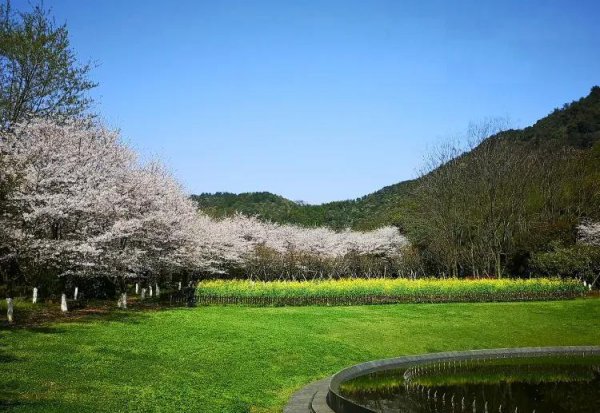 绍兴旅游景点哪里好玩