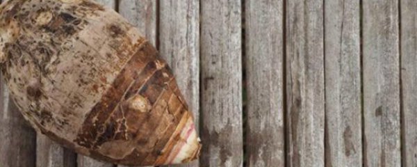 芋艿怎么保存才新鲜