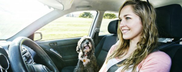 车辆合格证编号怎么查